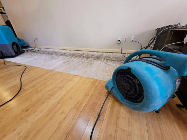 Professional Flood Damage Cleanup technician working in Arapahoe, WY